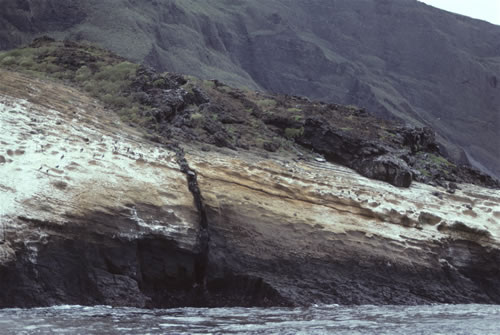 Cross section of lava flow dyke - Isabela Island